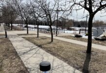 Designing To Achieve a Lower Salt Future