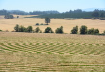 Grass Seed Capital of the World