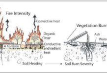 Hydrologic Effects Due to Watershed Wildfires